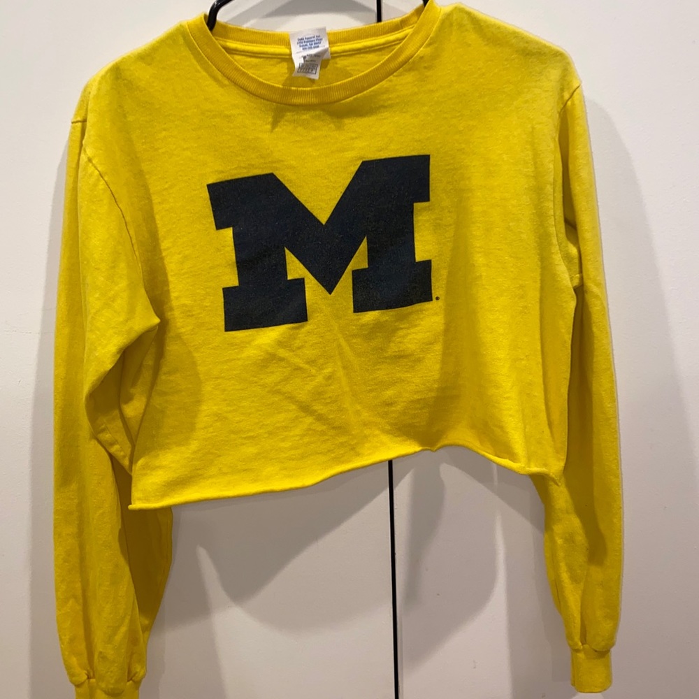 Cropped Michigan longsleeve